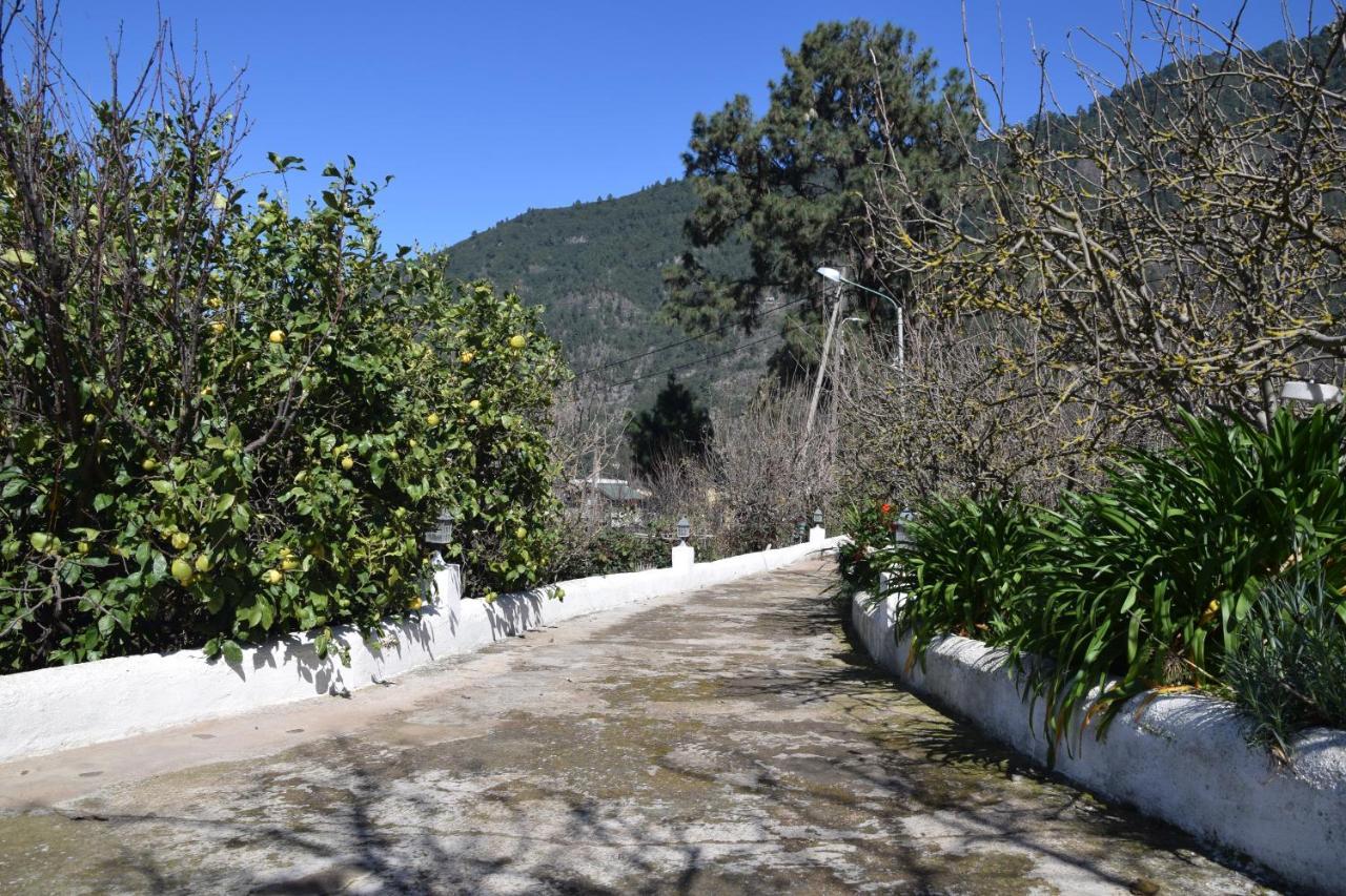 Casa Rural Juli Santa Cruz de Tenerife Buitenkant foto